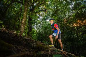 BIB: 3218
                            <button type="button" onclick="openModal(16016046)" class="btn btn-primary btn-sm float-right btn-popup" data-toggle="modal" data-target=".modal-high-quality">
                        <i class="fas fa-shopping-cart"></i> Add to Cart
                    </button>
                                            <button type="button" onclick="isThisMe(16016046, true)" class="btn btn-success btn-sm float-right btn-popup btn-isme hidden" data-toggle="tooltip" data-placement="bottom" title="นี่คือรูปของคุณใช่ไหม คลิกที่นี่เพื่อเอาเข้าอัลบั้ม">
                        <i class="fas fa-plus"></i> Add to album
                    </button>
                    <button type="button" onclick="isThisMe(16016046, false)" class="btn btn-warning btn-sm float-right btn-popup btn-isnotme hidden">
                        <i class="fas fa-ban"></i> Remove from album
                    </button>